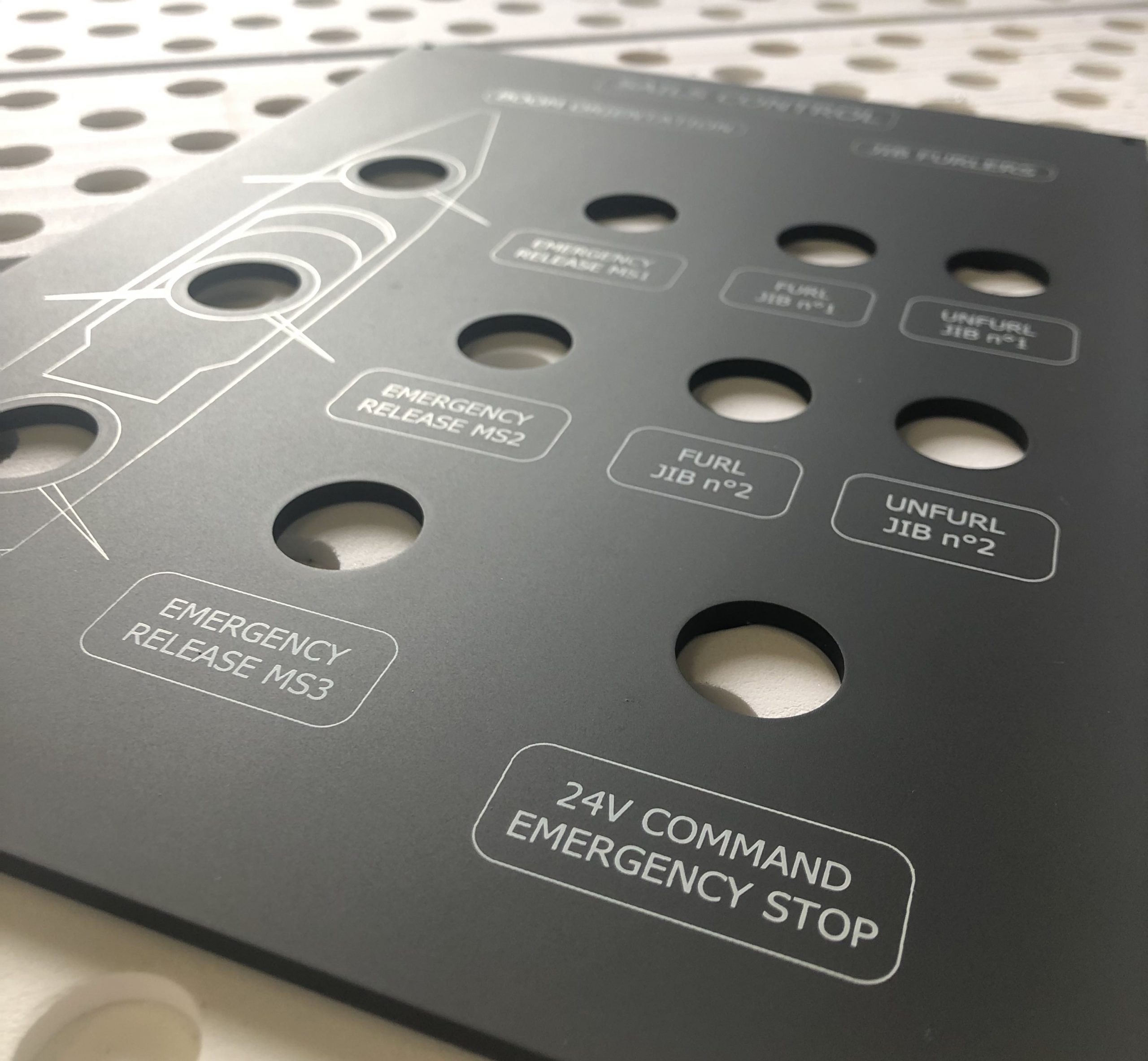 Synoptic Panels